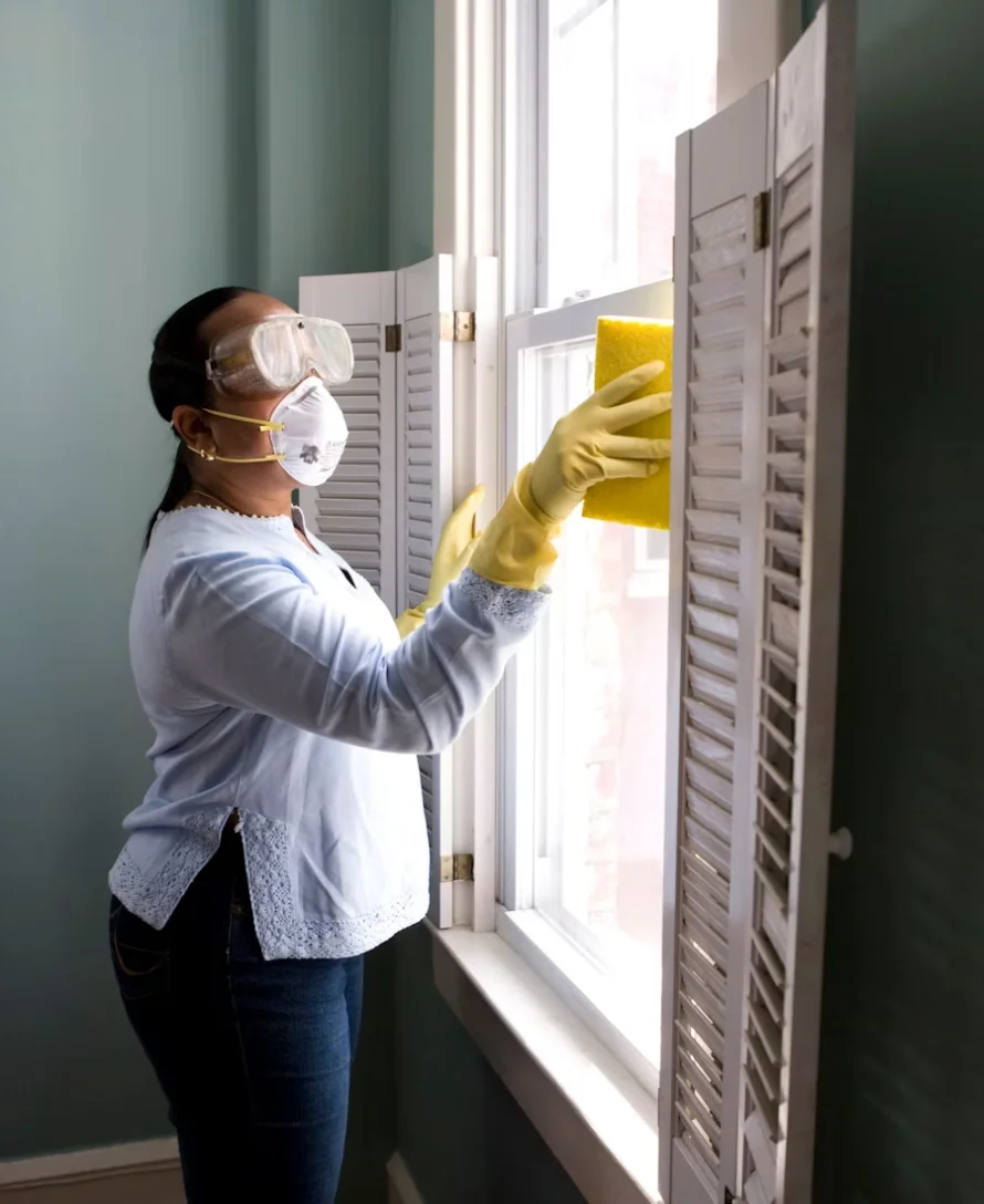 Clean Rise professional cleaning service